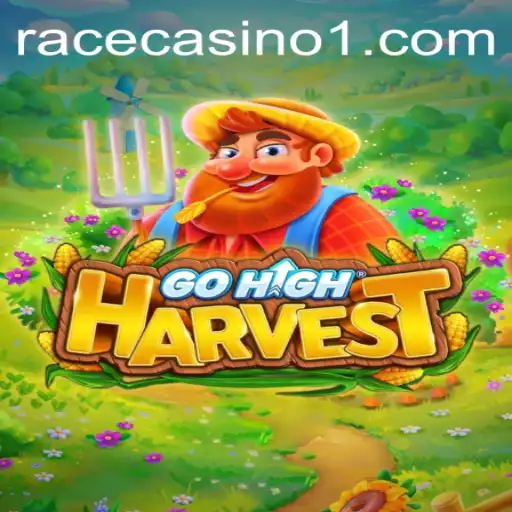 GoHighHarvest: An In-Depth Look at the Latest Sensation Ana6.bet
